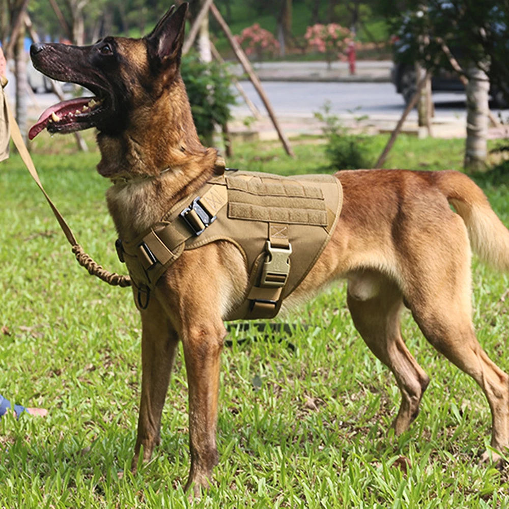 Large Dog Harness and Leash Set, Training Vest Harness and Collar for Medium Large Dogs